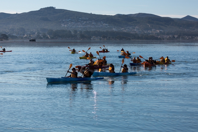 actividad con canoas